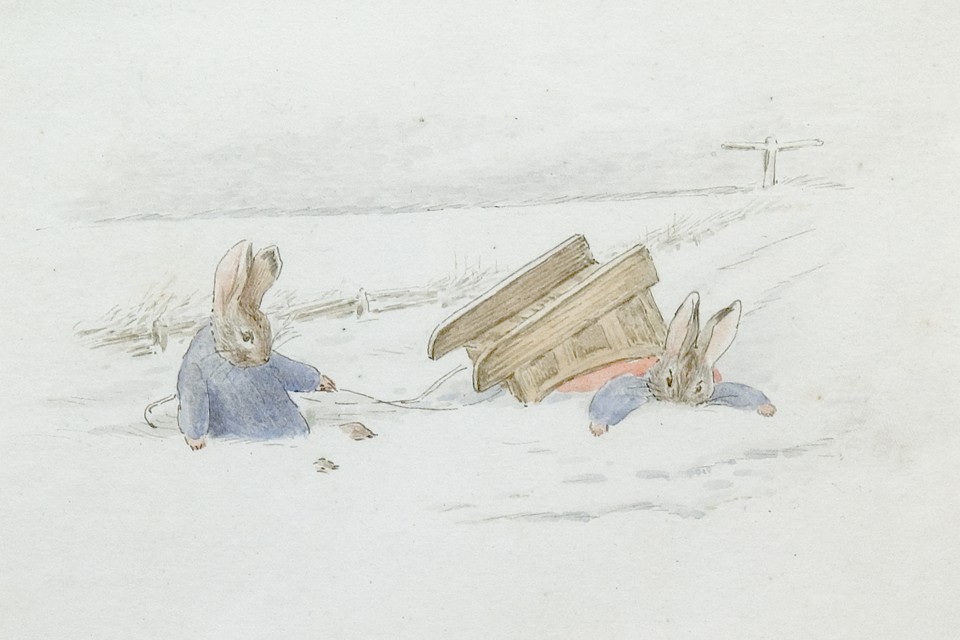 snow rabbits featured